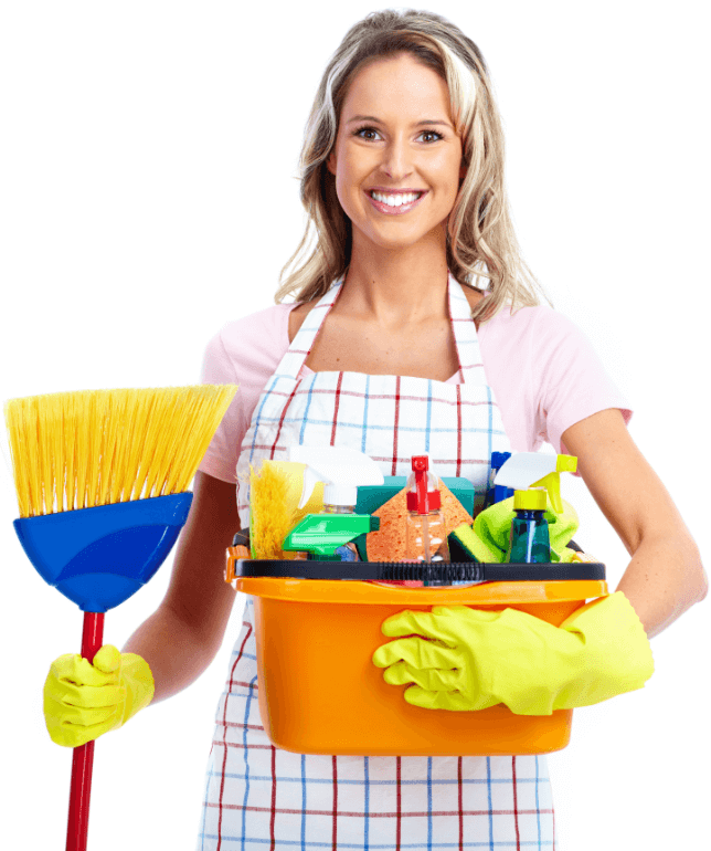 Professional Cleaning Services